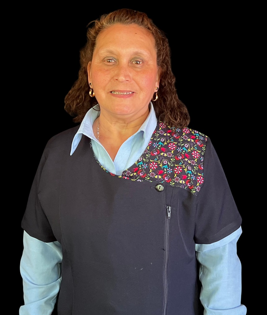 Asistente de Aula
